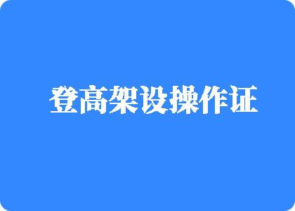 逼插到流水视频登高架设操作证