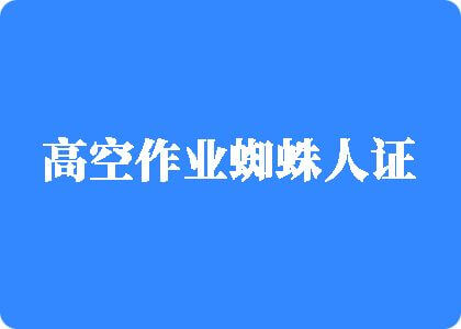 性爱网址www,操高空作业蜘蛛人证